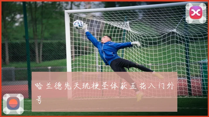 哈兰德先天玩梗圣体获五花八门外号
