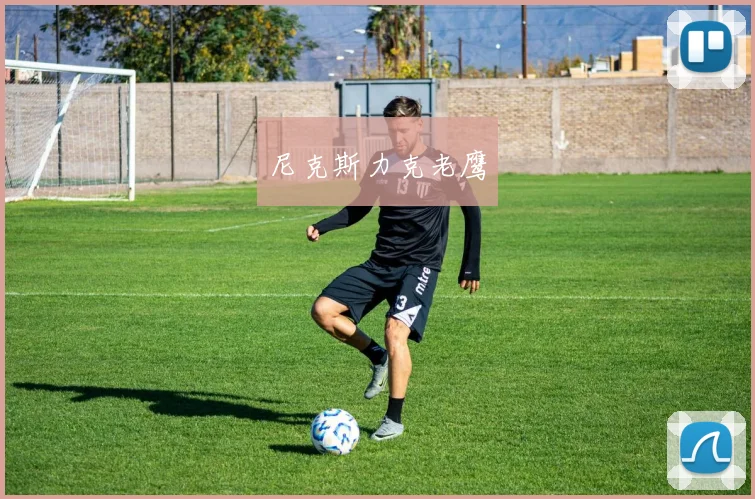 尼克斯力克老鹰